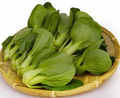 郑多燕一周春季减肥食谱,节后甩脂掉肉恢复S身材 减肥食谱 第5张-瘦瘦减肥网 郑多燕一周春季减肥食谱,节后甩脂掉肉恢复S身材 减肥食谱 第5张