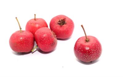 冬季吃什么水果减肥,健康均衡饮食最有效 减肥水果 第4张-瘦瘦减肥网 冬季吃什么水果减肥,健康均衡饮食最有效 减肥水果 第4张