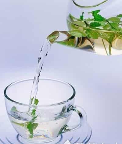 郑多燕推荐薄荷减肥食谱,完美三围迎接清凉一夏 减肥食谱 第4张-瘦瘦减肥网 郑多燕推荐薄荷减肥食谱,完美三围迎接清凉一夏 减肥食谱 第4张