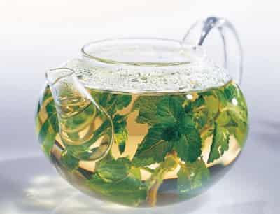 郑多燕推荐薄荷减肥食谱,完美三围迎接清凉一夏 减肥食谱 第1张-瘦瘦减肥网 郑多燕推荐薄荷减肥食谱,完美三围迎接清凉一夏 减肥食谱 第1张