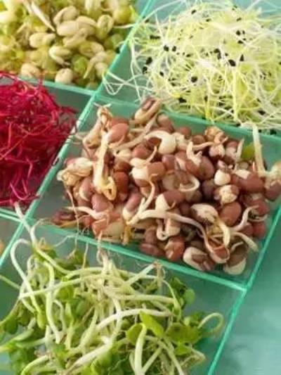 绿豆芽怎么吃减肥,它的减肥原理是什么 饮食减肥 第2张-瘦瘦减肥网 绿豆芽怎么吃减肥,它的减肥原理是什么 饮食减肥 第2张