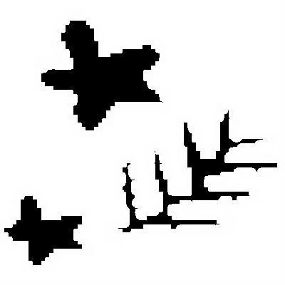 吃什么水果能减肥呢，这8种水果美容又减肥 饮食减肥 第2张