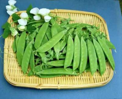 吃什么食物越吃越瘦 饮食减肥 第12张-瘦瘦减肥网 吃什么食物越吃越瘦 饮食减肥 第12张