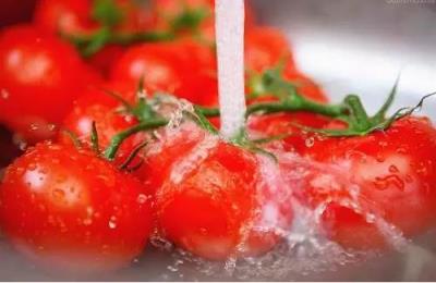 西红柿减肥食谱,7天狂瘦10斤,减肥只用一个番茄! 减肥食谱 第4张-瘦瘦减肥网 西红柿减肥食谱,7天狂瘦10斤,减肥只用一个番茄! 减肥食谱 第4张