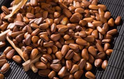 吃松子会发胖吗，松子怎么吃避免长胖 饮食减肥 第3张