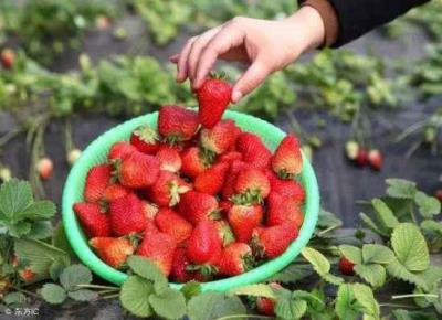 吃什么减肥效果最好,超级刮油的食物你要pick一下吗 饮食减肥 第6张-瘦瘦减肥网 吃什么减肥效果最好,超级刮油的食物你要pick一下吗 饮食减肥 第6张
