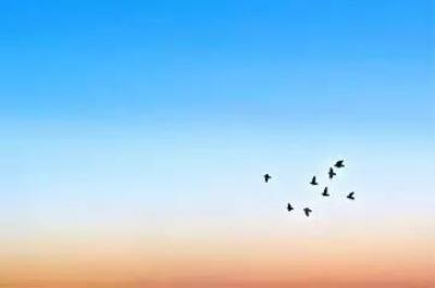 减肥好方法有哪些,减肥不在于节食而在这里 节食减肥 第1张-瘦瘦减肥网 减肥好方法有哪些,减肥不在于节食而在这里 节食减肥 第1张