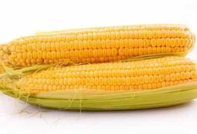 有效减肥方法，八种食物强力刮油 减肥 第8张