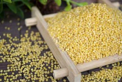 粗粮减肥法，每天吃一点就可以瘦了 饮食减肥 第2张