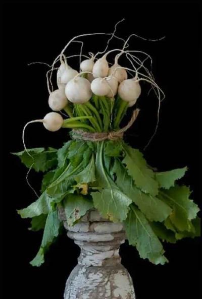 吃什么可以减肥，吃再多都不怕胖啦 饮食减肥 第2张