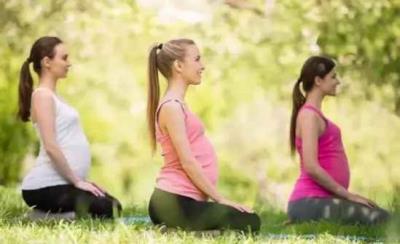 饭后做什么瑜伽动作,雷电坐能燃脂塑形哟 瑜伽减肥 第3张-瘦瘦减肥网 饭后做什么瑜伽动作,雷电坐能燃脂塑形哟 瑜伽减肥 第3张