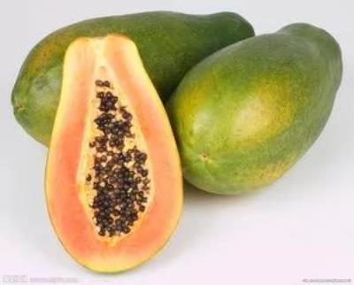 蜂蜜白醋减肥法的危害，说蜂蜜能减肥，也要讲究搭配 减肥方法 第2张