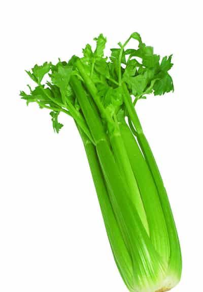 七日减肥瘦身汤做法,让你一星期瘦10斤 减肥 第4张-瘦瘦减肥网 七日减肥瘦身汤做法,让你一星期瘦10斤 减肥 第4张