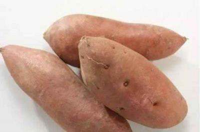 吃什么瘦肚子快,4种食物吃出小蛮腰 减肚子 第2张-瘦瘦减肥网 吃什么瘦肚子快,4种食物吃出小蛮腰 减肚子 第2张