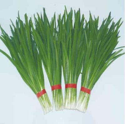 哪些食物可以排毒,减肚子瘦腰的最快方法合集 减肚子 第2张-瘦瘦减肥网 哪些食物可以排毒,减肚子瘦腰的最快方法合集 减肚子 第2张