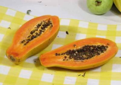 如何快速健康减肥不反弹,多吃9种食物是最有效的方法 饮食减肥 第7张-瘦瘦减肥网 如何快速健康减肥不反弹,多吃9种食物是最有效的方法 饮食减肥 第7张