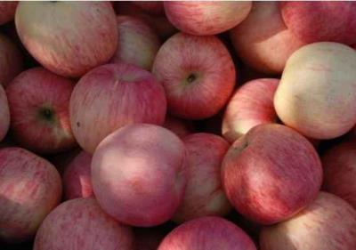 如何快速健康减肥不反弹,多吃9种食物是最有效的方法 饮食减肥 第9张-瘦瘦减肥网 如何快速健康减肥不反弹,多吃9种食物是最有效的方法 饮食减肥 第9张