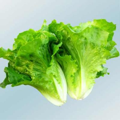 哪些食物可以排毒,减肚子瘦腰的最快方法合集 减肚子 第6张-瘦瘦减肥网 哪些食物可以排毒,减肚子瘦腰的最快方法合集 减肚子 第6张