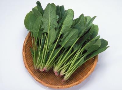 如何快速健康减肥不反弹,多吃9种食物是最有效的方法 饮食减肥 第8张-瘦瘦减肥网 如何快速健康减肥不反弹,多吃9种食物是最有效的方法 饮食减肥 第8张