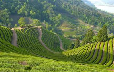 快速减肥方法,分享小妙招助你轻松甩肉 快速减肥 第2张-瘦瘦减肥网 快速减肥方法,分享小妙招助你轻松甩肉 快速减肥 第2张