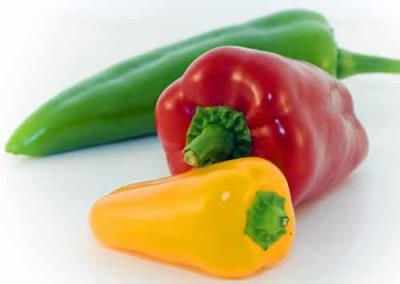 健康食谱减肥计划享瘦每一天 减肥食谱 第4张-瘦瘦减肥网 健康食谱减肥计划享瘦每一天 减肥食谱 第4张