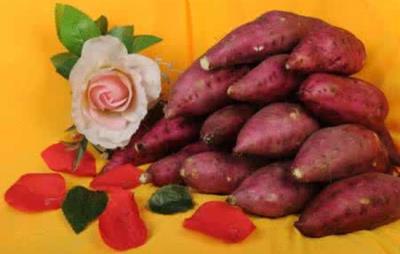 吃什么瘦肚子和腰上赘肉,13种食物让你瘦成小蛮腰 减肚子 第3张-瘦瘦减肥网 吃什么瘦肚子和腰上赘肉,13种食物让你瘦成小蛮腰 减肚子 第3张