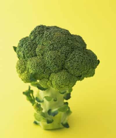 冬季最健康的减肥食谱,低热排毒西兰花的做法 减肥食谱 第2张-瘦瘦减肥网 冬季最健康的减肥食谱,低热排毒西兰花的做法 减肥食谱 第2张