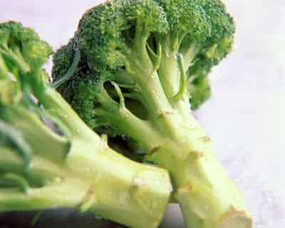 冬季最健康的减肥食谱,低热排毒西兰花的做法 减肥食谱 第4张-瘦瘦减肥网 冬季最健康的减肥食谱,低热排毒西兰花的做法 减肥食谱 第4张