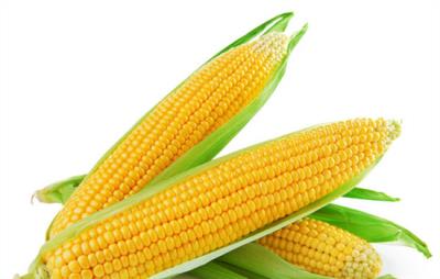 健身完吃什么最好，吃得不对健身效果大打折扣 饮食减肥 第2张