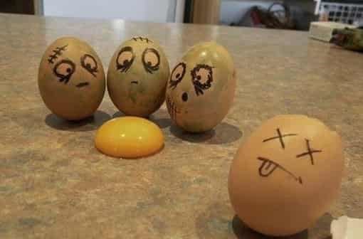 神奇鸡蛋减肥法,懒人十天快速瘦身食谱 懒人减肥 第5张-瘦瘦减肥网 神奇鸡蛋减肥法,懒人十天快速瘦身食谱 懒人减肥 第5张