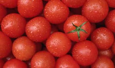 小番茄快速减肥法，周甩十斤赘肉打造曼妙身材 快速减肥 第1张