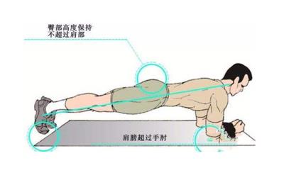 平板支撑为什么这么累,累才有效果嘛 减肥 第3张-瘦瘦减肥网 平板支撑为什么这么累,累才有效果嘛 减肥 第3张