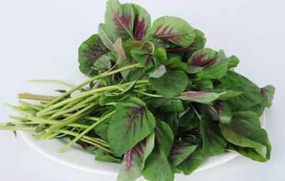 吃苋菜可以减肥吗,夏季别错过4款苋菜减肥食谱 减肥食谱 第4张-瘦瘦减肥网 吃苋菜可以减肥吗,夏季别错过4款苋菜减肥食谱 减肥食谱 第4张