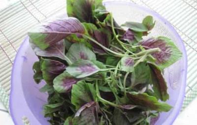 吃苋菜可以减肥吗,夏季别错过4款苋菜减肥食谱 减肥食谱 第5张-瘦瘦减肥网 吃苋菜可以减肥吗,夏季别错过4款苋菜减肥食谱 减肥食谱 第5张