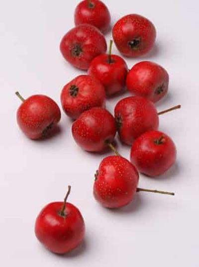 3大常见消脂减肥水果,快速拥有性感好身材 减肥水果 第3张-瘦瘦减肥网 3大常见消脂减肥水果,快速拥有性感好身材 减肥水果 第3张