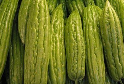 夏季科学快速有效减肥,新款超棒苦瓜减肥法 减肥方法 第5张-瘦瘦减肥网 夏季科学快速有效减肥,新款超棒苦瓜减肥法 减肥方法 第5张