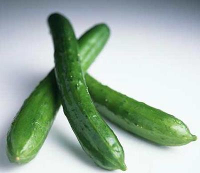 懒人黄瓜减肥法,五款食谱让你瘦到尖叫 懒人减肥 第6张-瘦瘦减肥网 懒人黄瓜减肥法,五款食谱让你瘦到尖叫 懒人减肥 第6张