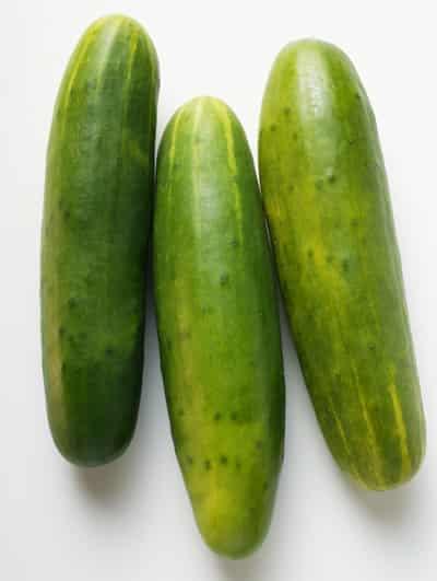 懒人黄瓜减肥法,五款食谱让你瘦到尖叫 懒人减肥 第1张-瘦瘦减肥网 懒人黄瓜减肥法,五款食谱让你瘦到尖叫 懒人减肥 第1张