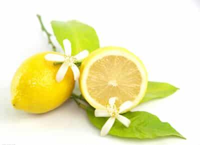 懒人最爱神奇柠檬减肥法,轻松掉肉不反弹 懒人减肥 第1张-瘦瘦减肥网 懒人最爱神奇柠檬减肥法,轻松掉肉不反弹 懒人减肥 第1张