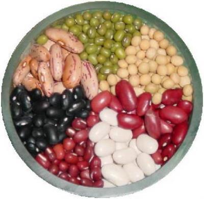 春季如何快速减肥?教你一周瘦10斤的吃法,小编推荐减肥食谱 快速减肥 第7张-瘦瘦减肥网 春季如何快速减肥?教你一周瘦10斤的吃法,小编推荐减肥食谱 快速减肥 第7张