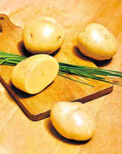 春季如何快速减肥?教你一周瘦10斤的吃法,小编推荐减肥食谱 快速减肥 第1张-瘦瘦减肥网 春季如何快速减肥?教你一周瘦10斤的吃法,小编推荐减肥食谱 快速减肥 第1张