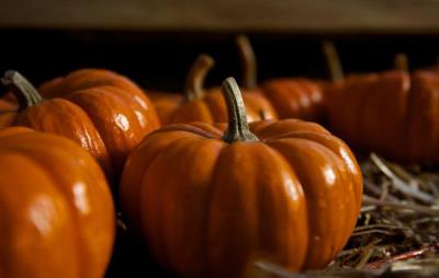 吃南瓜会长胖吗,正确吃南瓜可减肥 饮食减肥 第1张-瘦瘦减肥网 吃南瓜会长胖吗,正确吃南瓜可减肥 饮食减肥 第1张