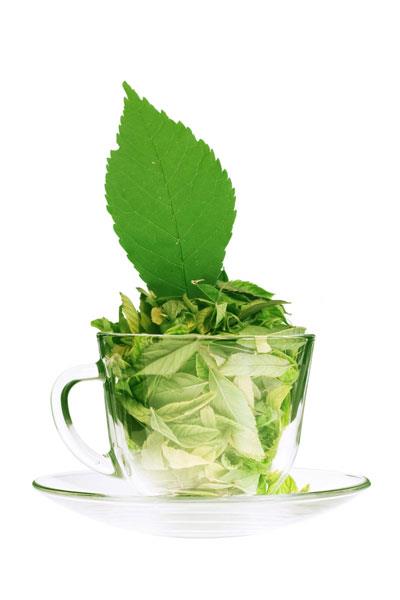 吃什么减肥最快，一月甩10斤肉的最佳方法 饮食减肥 第2张