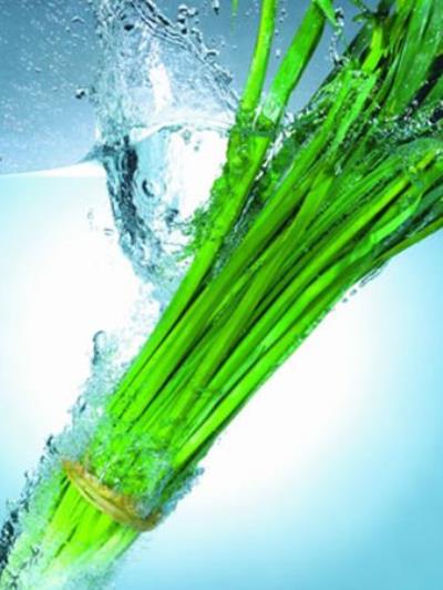 初秋必吃的健康减肥蔬菜,轻松吃出好身材 减肥蔬菜 第1张-瘦瘦减肥网 初秋必吃的健康减肥蔬菜,轻松吃出好身材 减肥蔬菜 第1张