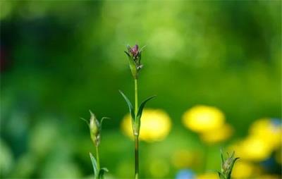瘦腿最快最有效方法,还你一双纤纤玉足 瘦腿 第1张-瘦瘦减肥网 瘦腿最快最有效方法,还你一双纤纤玉足 瘦腿 第1张