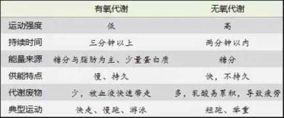 有氧运动和无氧运动哪个减肥效果好,答案在这里 运动减肥 第3张-瘦瘦减肥网 有氧运动和无氧运动哪个减肥效果好,答案在这里 运动减肥 第3张