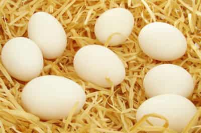 吃不胖的减肥食物排行榜,让你越吃越瘦不反弹 饮食减肥 第2张-瘦瘦减肥网 吃不胖的减肥食物排行榜,让你越吃越瘦不反弹 饮食减肥 第2张