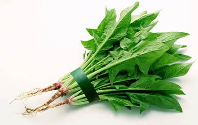 吃不胖的减肥食物排行榜,让你越吃越瘦不反弹 饮食减肥 第5张-瘦瘦减肥网 吃不胖的减肥食物排行榜,让你越吃越瘦不反弹 饮食减肥 第5张