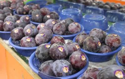 黑布林可以减肥吗，黑布林减肥也得适量吃 饮食减肥 第4张