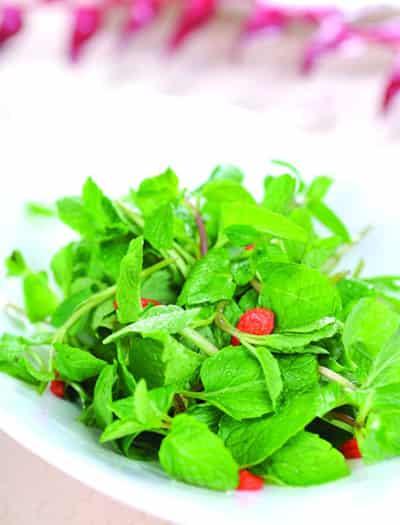 薄荷能减肥吗，夏季清凉薄荷茶的减肥功效 减肥饮品 第1张